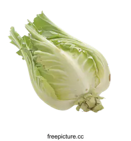 vegetable