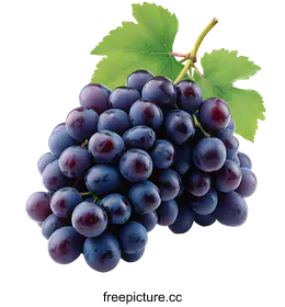 grapes
