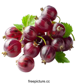 gooseberries