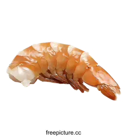 prawn