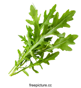 arugula