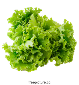 commercialphotography