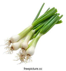 spring onion