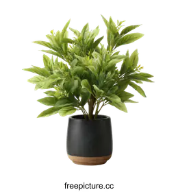 artificial plant