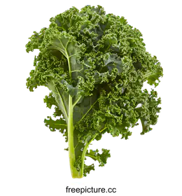 kale