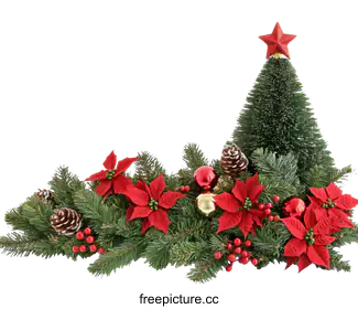 fir