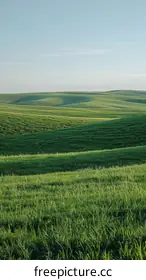 green hills