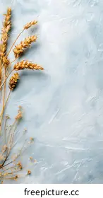 wheat