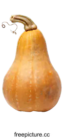 gourd