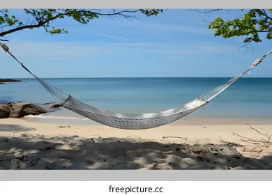 hammock