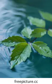 water photography