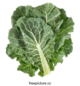 collard
