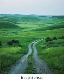 green hills