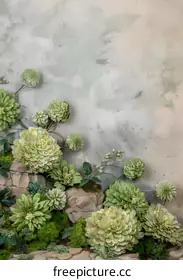 photography background