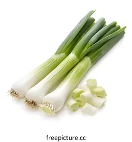 spring onion