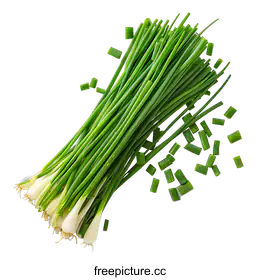 spring onion