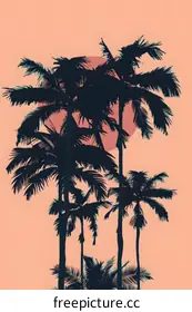 palm tree