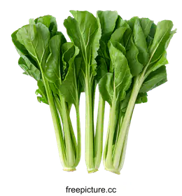 bok choy