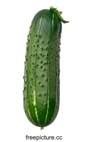 pickle