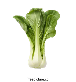 bok choy