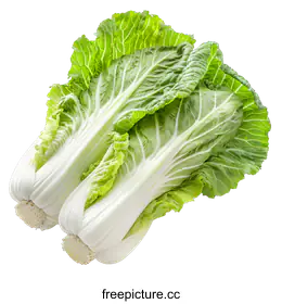 bok choy