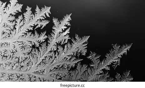 fractal
