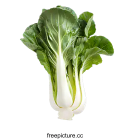 bok choy