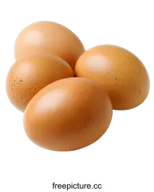 yolk