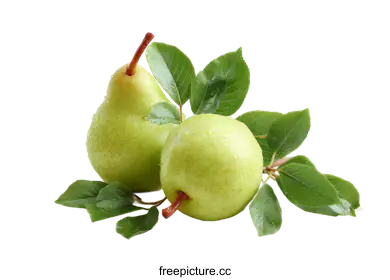 pears
