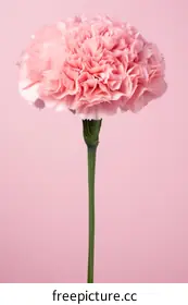 fine art photography