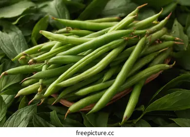 green beans