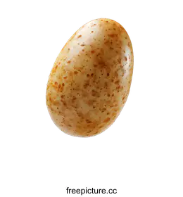 potato