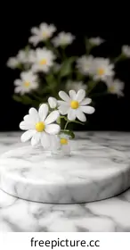daisies