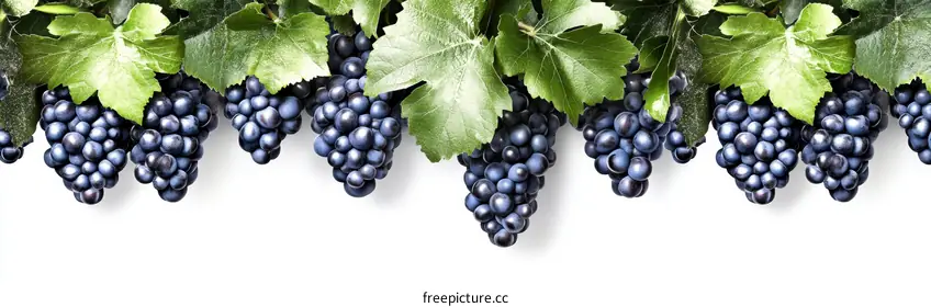 grapes