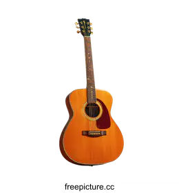 acoustic guitar