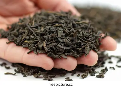 oolong tea