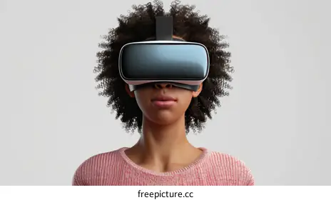 head mounted display