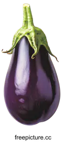 eggplant