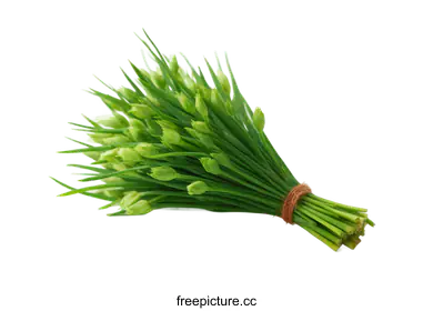 chives