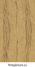 wood veneer