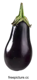 eggplant