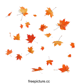 fall leaves