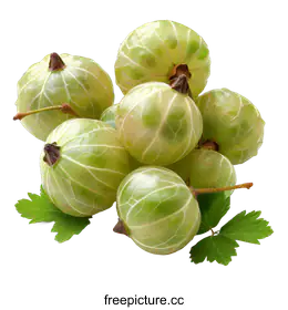 gooseberries