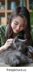 pet cat
