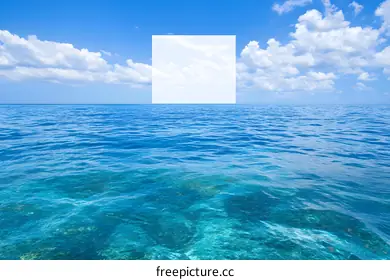 sea