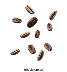 seeds