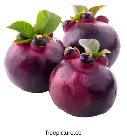 mangosteen