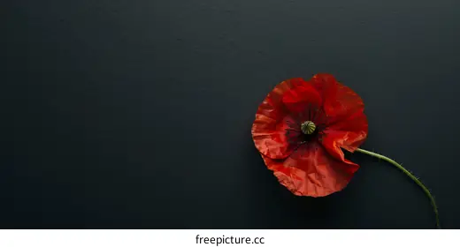 fine art photography