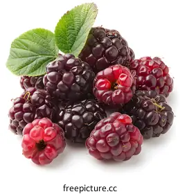 blackberries