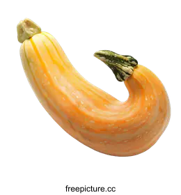 gourd
